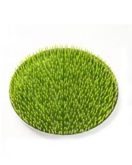 ستاند تنشيف رضّاعات الأطفال (تصميم العشب)